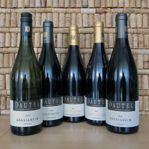 Listopadové tipy vineval: Hvězdné Dautel